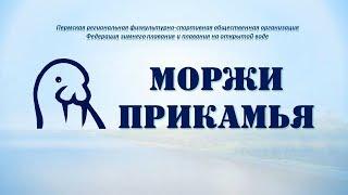 Федерация Моржи Прикамья. Презентация