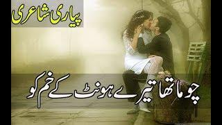 Most Heart Touching Poetry  Best Urdu Poetry  Love Poetry  2 Line Shayari