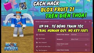 Cách Hack Blox Fruits 21 Trên Điện Thoại No Key Menu Full Chức Năng VipTrial Human QuỷKatakuri...