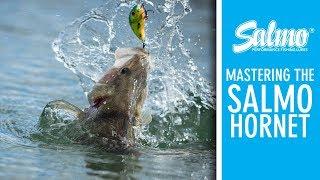 *** SALMO UK *** MASTERING THE SALMO HORNET