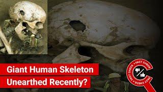 FACT CHECK Viral Image Shows Giant Human Skeleton Unearthed Recently?