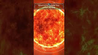 What is the Biggest Known Star in the Universe? #shorts