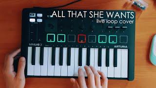 Ace of Base - All That She Wants Live Loop Cover  Minilab 3