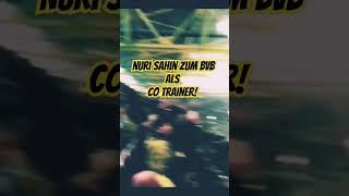 Nuri Sahin zum BVB  #bvb #bvbvideo #sahin #antalyaspor #terzic #borussiadortmund #borussia