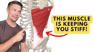 This Muscle Is Keeping You STIFF and most dont properly stretch it