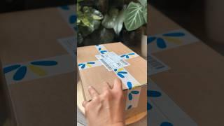 Lilly Online unboxing 