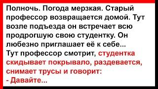 Про продрогшую студентку и профессора... Анекдоты Юмор Позитив