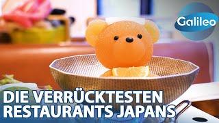 Feuernudeln und Teddy-Onsen Die verrücktesten Restaurants Japans