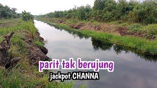 YAKIN..? PARIT INI BAKAL JADI INCARAN DAN IDAMAN PEMANCING GABUS