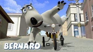 Bernard Bear  The Unicycle AND MORE  30 min Compilation  Cartoons for Children