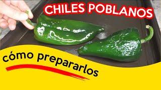 Cómo ASAR CHILES POBLANOS  Cómo Escoger conservar  y limpiar Chiles Poblanos