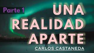 UNA REALIDAD APARTE  C. Castaneda  Parte 1  Audiolibro completo  Español  Voz humana