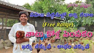 ఫ్రీ రేంజ్ లో నాటు కోళ్ల పెంపకం  Country Chicken Farm  Natukolla Pempakam  Kodi  Sagu Nestham