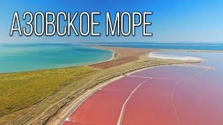 Азовское море Море кос и лиманов  Интересные факты про Азовское море