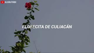 Erik Canales - Florecita De Culiacán Letra