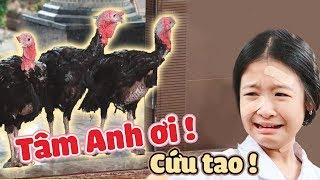 Lam Chi Tâm Anh BiMax SỢ PHÁT KHÓC khi có SINH VẬT LẠ đột nhập  Gia Đình Là Số 1