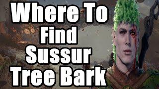 Baldurs Gate 3 -  Where to Find Sussur Tree Bark - Finish the Masterwork Weapon Quest Guide