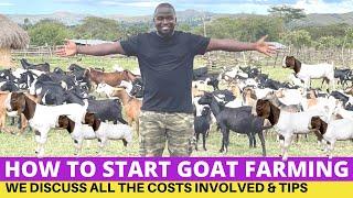 How To Start a Goat Farm The Easy Way