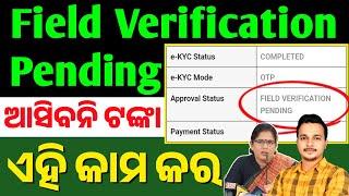 Subhadra Field Verification Pending Problem Solved  Field Verification Pending in Subhadra Yojana