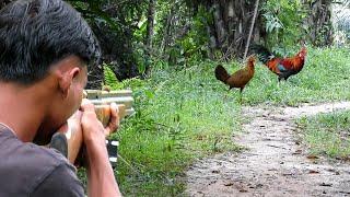 BERBURU DI KEBUN SAWIT SPOT AYAM HUTAN MERAH squirrel hunting at the partridge spot