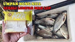 IKAN SAKIT PUN MAU MAKAN UMPAN INI‼️UMPAN PALING SAKTI DAN AMPUH