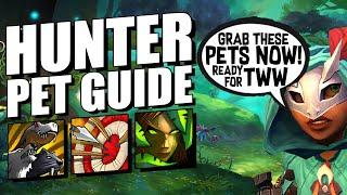 The ULTIMATE Hunter Pet Guide  The War Within  The Best Pets To Use In TWW