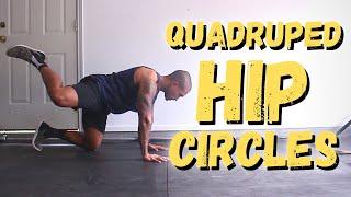 Movement Demo  Quadruped Hip Circles