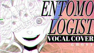 Vocaloid - Entomologist Cover【Meltberry】