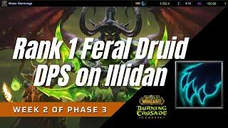 Rank 1 Feral Druid DPS on Illidan  Classic TBC