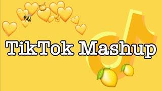 TikTok Mashup February 2022 *with song names* not clean