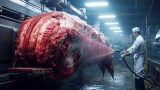 This is Why Wagyu Beef is So Expensive - Modern Beef Processing Factory