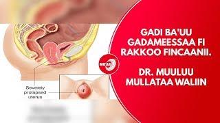 MOAA TV Life show Ep 51 Gadi bauu gadameessaa fi Rakkoo fincaanii. Dr Muuluu Mullataa waliin