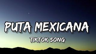 Dj Jeeh Fdc MC Menor MT & Yuri Redicopa - Puta Mexicana Lyrics Então toma então tomaTIKTOK SONT