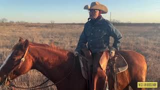 WES ONEAL — COWBOY