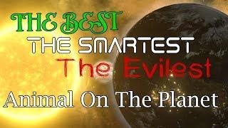 The Best The Smartest And The Most Evil Animal On The Planet