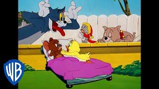 Tom & Jerry  Who is the Cutest?  Classic Cartoon Compilation  WB Kids