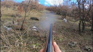 EGE ÇULLUK AVI 2021 BÖLÜM-2 WOODCOCK HUNTING#WOODCOCK CAZA#