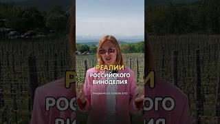 Вся правда о виноделии в России. Большой выпуск уже на канале. #крым #виноделие