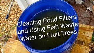 How I clean my pond filter media