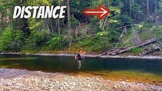 How to Improve Your Fly Cast The Basics & Remove Frustration