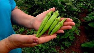 Resilient Gardening