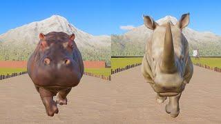 HIPPOPOTAMUS VS RHINOCEROS SPEED RACES IN PLANET ZOO