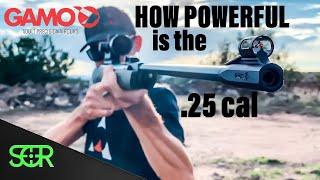 .25 cal Gamo Magnum?? - HOW POWERFUL IS IT? & REVIEW