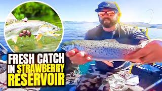 Strawberry Reservoir Utah Kokanee Fishing Have You Been Here?