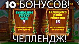 20 - ка bонуcoB в dog house megaways Правая или левая? #casino #беларусь Розыгрыш 200 byn в ТГ