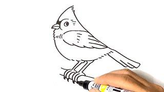 How to Draw a  TUFTED TITMOUSE Easy Step by Step Animal Drawing