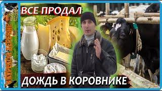 как как продаю молочку в молочный день последствия морозов в коровнике