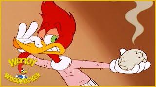 Woody Woodpecker Show  Chicken Woody  Full Episode  Cartoons For Children