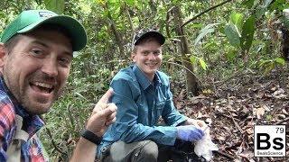 What Happens to Poop in the Jungle? - Borneo