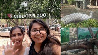 SUMMER DAY OUT ZOO VLOG SIMRAN KUMARI